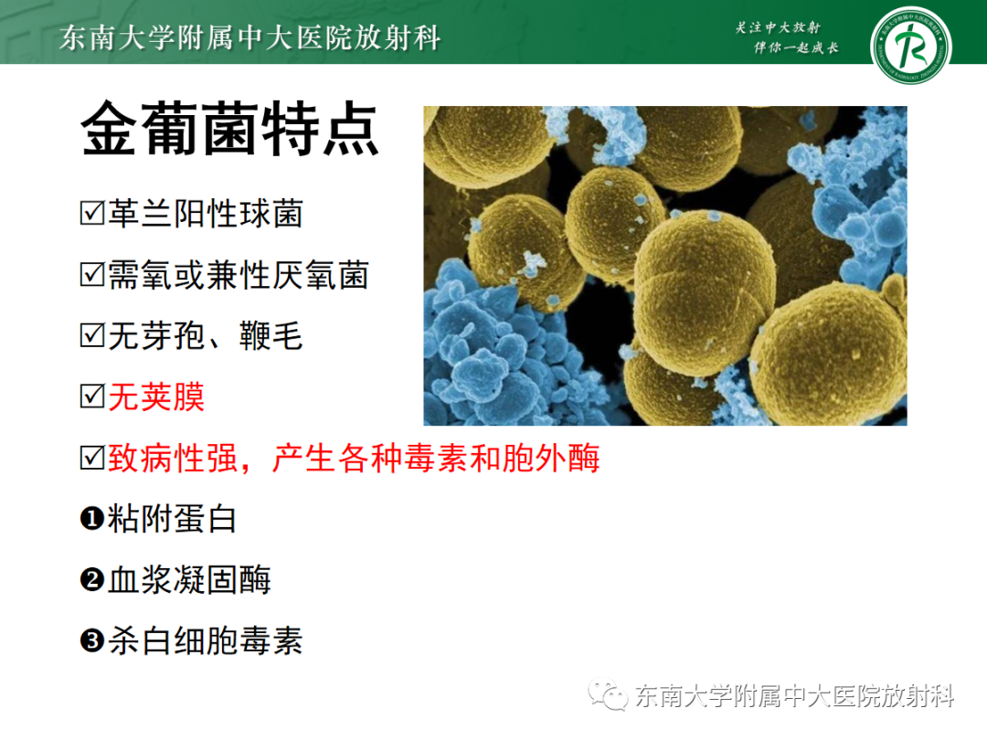 影像PPT - 【PPT】金黄色葡萄球菌肺炎-10 影像PPT - 【PPT】金黄色葡萄球菌肺炎-10