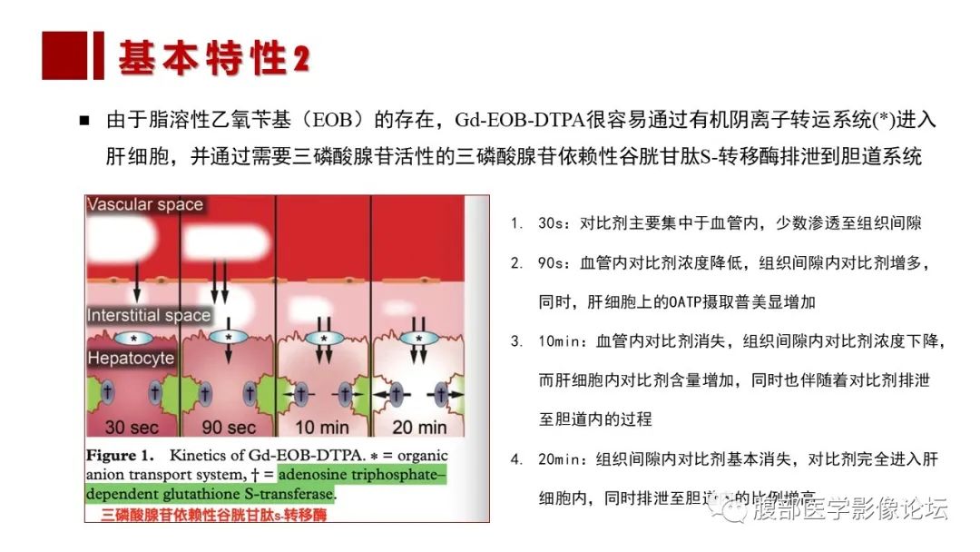 影像PPT - 【PPT】普美显胆管MR成像及其临床应用-14