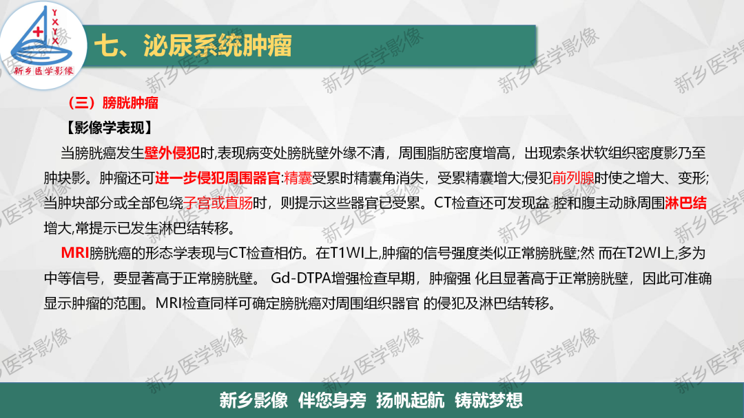 影像PPT - 【PPT】输尿管及膀胱肿瘤分期及肾脏外伤分级-9
