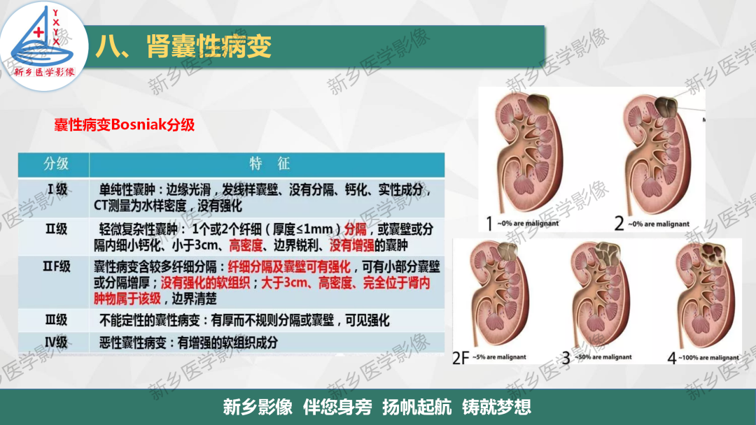 影像PPT - 【PPT】输尿管及膀胱肿瘤分期及肾脏外伤分级-14