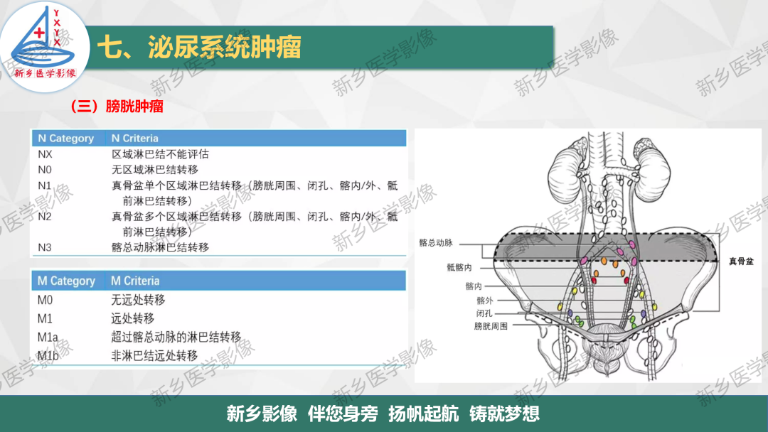 影像PPT - 【PPT】输尿管及膀胱肿瘤分期及肾脏外伤分级-11