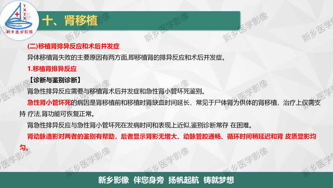 影像PPT - 【PPT】输尿管及膀胱肿瘤分期及肾脏外伤分级-23