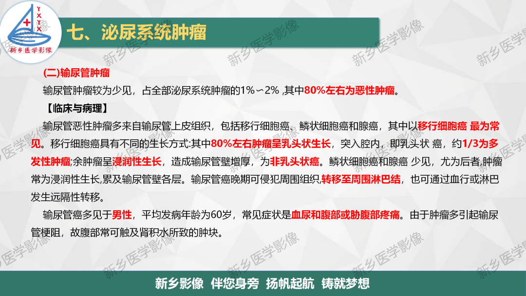影像PPT - 【PPT】输尿管及膀胱肿瘤分期及肾脏外伤分级-3