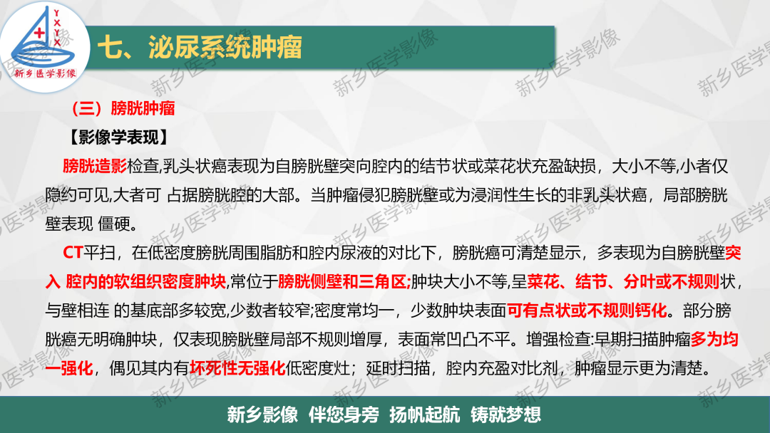 影像PPT - 【PPT】输尿管及膀胱肿瘤分期及肾脏外伤分级-7