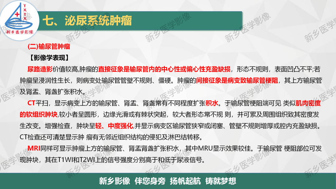 影像PPT - 【PPT】输尿管及膀胱肿瘤分期及肾脏外伤分级-4