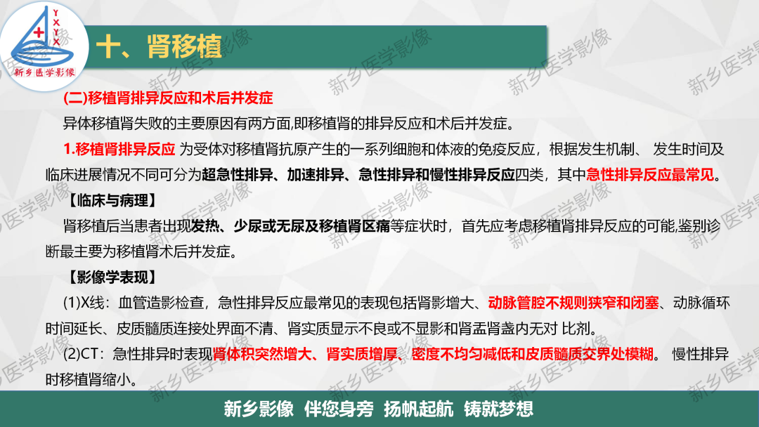 影像PPT - 【PPT】输尿管及膀胱肿瘤分期及肾脏外伤分级-22