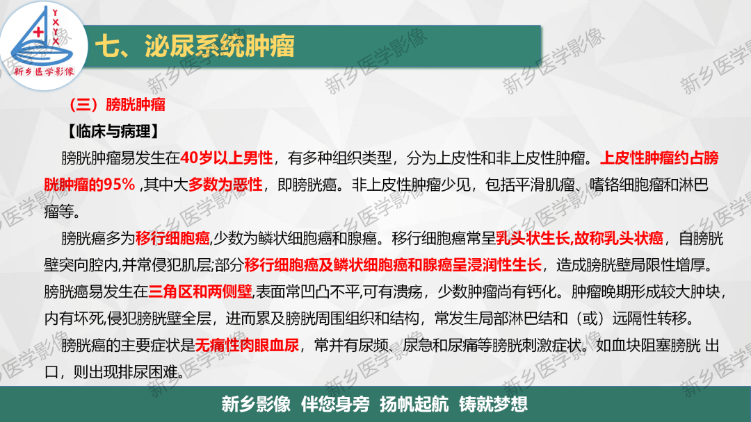 影像PPT - 【PPT】输尿管及膀胱肿瘤分期及肾脏外伤分级-6
