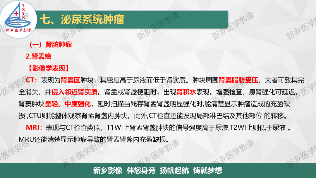 影像PPT - 【PPT】肾脏肿瘤分期 并与肾脏血管平滑肌脂肪瘤鉴别要点-17