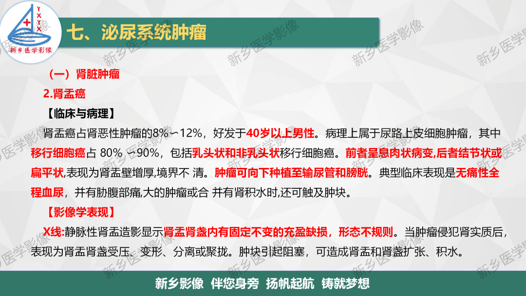 影像PPT - 【PPT】肾脏肿瘤分期 并与肾脏血管平滑肌脂肪瘤鉴别要点-16