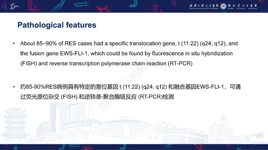 影像PPT - 【PPT】肾脏原发性尤文肉瘤影像诊断-13