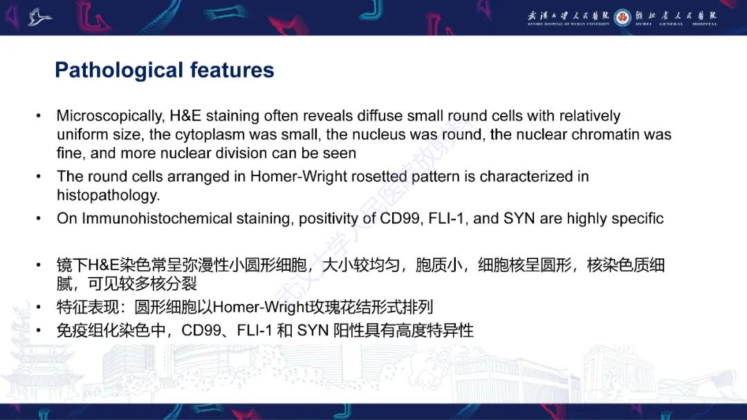 影像PPT - 【PPT】肾脏原发性尤文肉瘤影像诊断-12