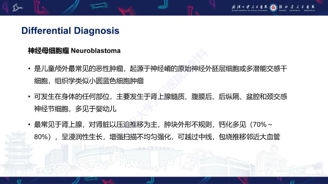 影像PPT - 【PPT】肾脏原发性尤文肉瘤影像诊断-24