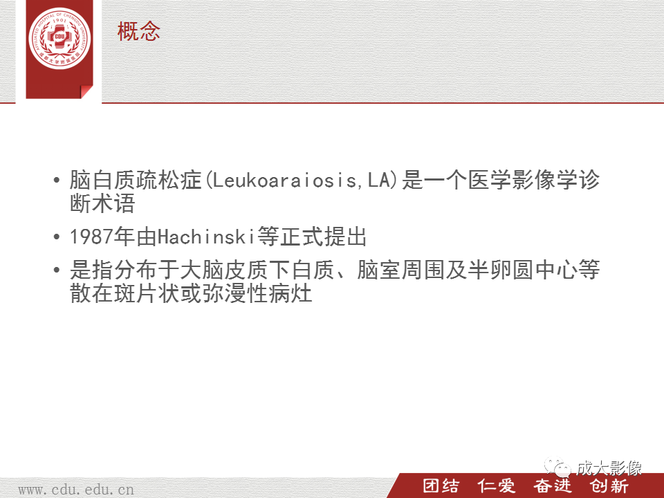 影像PPT - 【PPT】脑白质疏松症-2