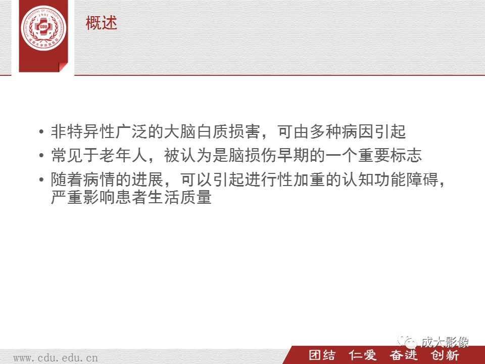 影像PPT - 【PPT】脑白质疏松症-3