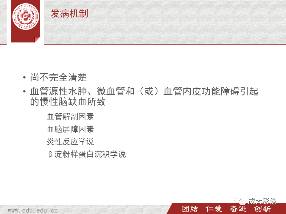 影像PPT - 【PPT】脑白质疏松症-5