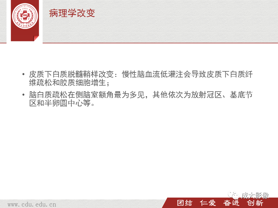 影像PPT - 【PPT】脑白质疏松症-6