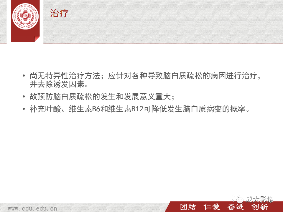 影像PPT - 【PPT】脑白质疏松症-24