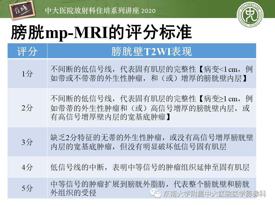 影像PPT - 【PPT】膀胱VI-RADS解读-14