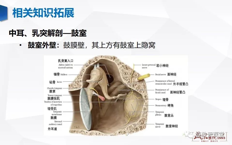 影像PPT - 【PPT】中耳乳突解剖及炎症-22