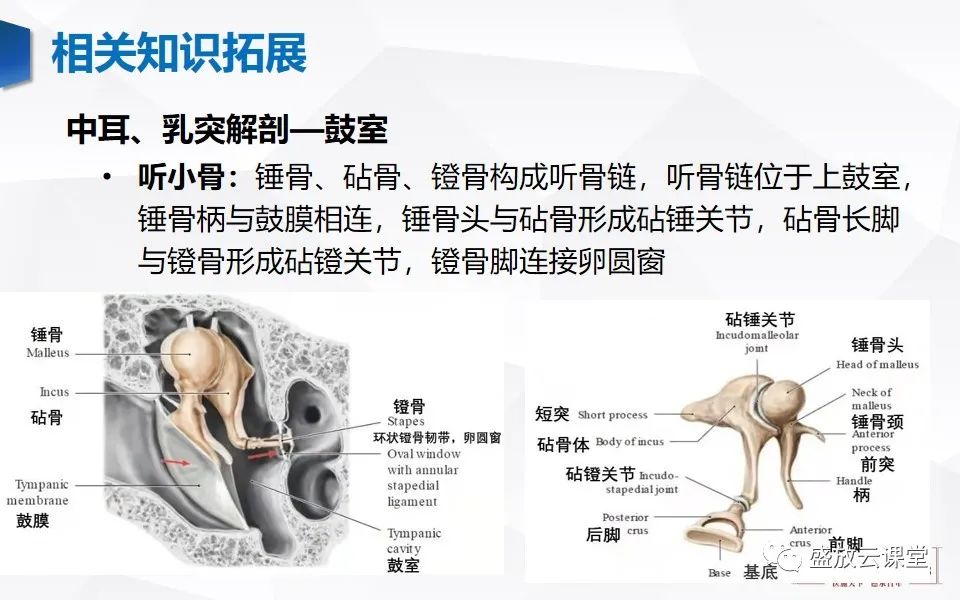 影像PPT - 【PPT】中耳乳突解剖及炎症-26