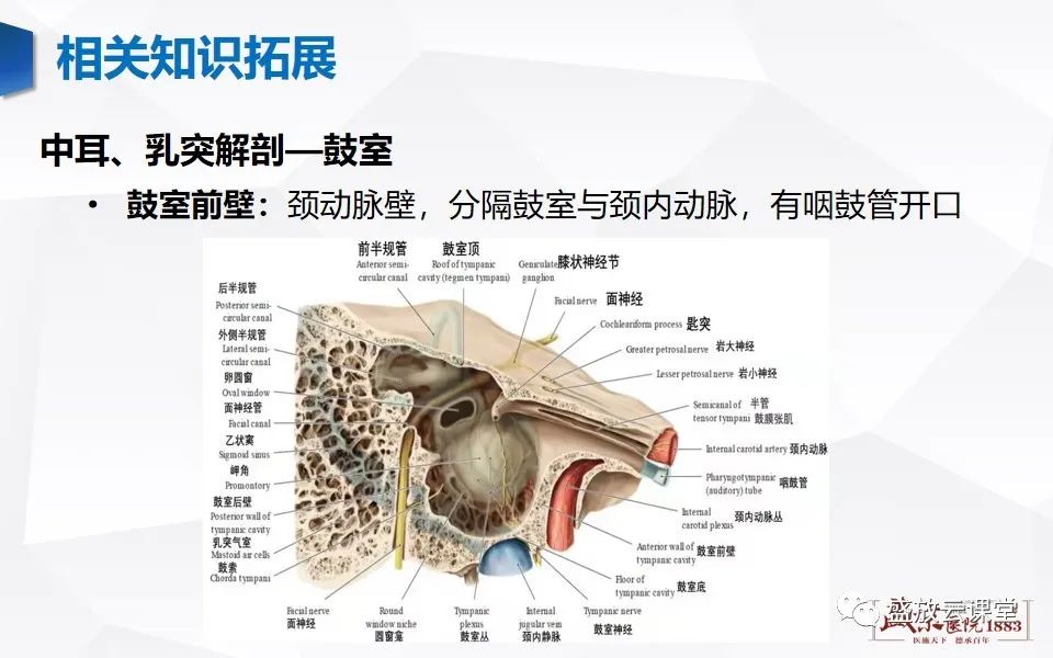 影像PPT - 【PPT】中耳乳突解剖及炎症-20