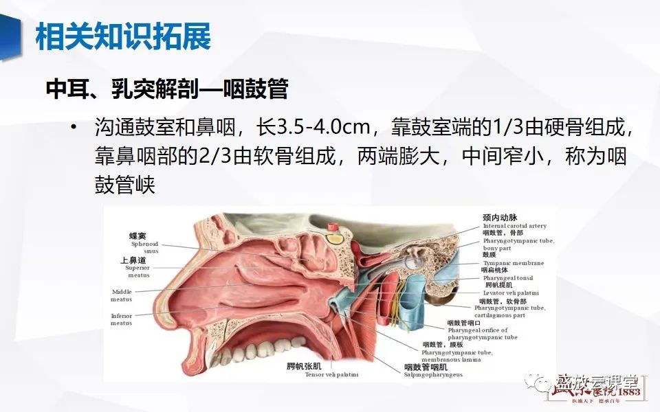 影像PPT - 【PPT】中耳乳突解剖及炎症-32