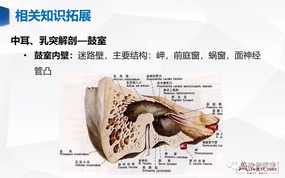 影像PPT - 【PPT】中耳乳突解剖及炎症-23
