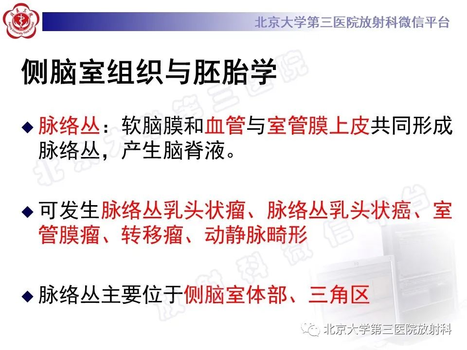 影像PPT - 【PPT】脑室内脑膜瘤-24