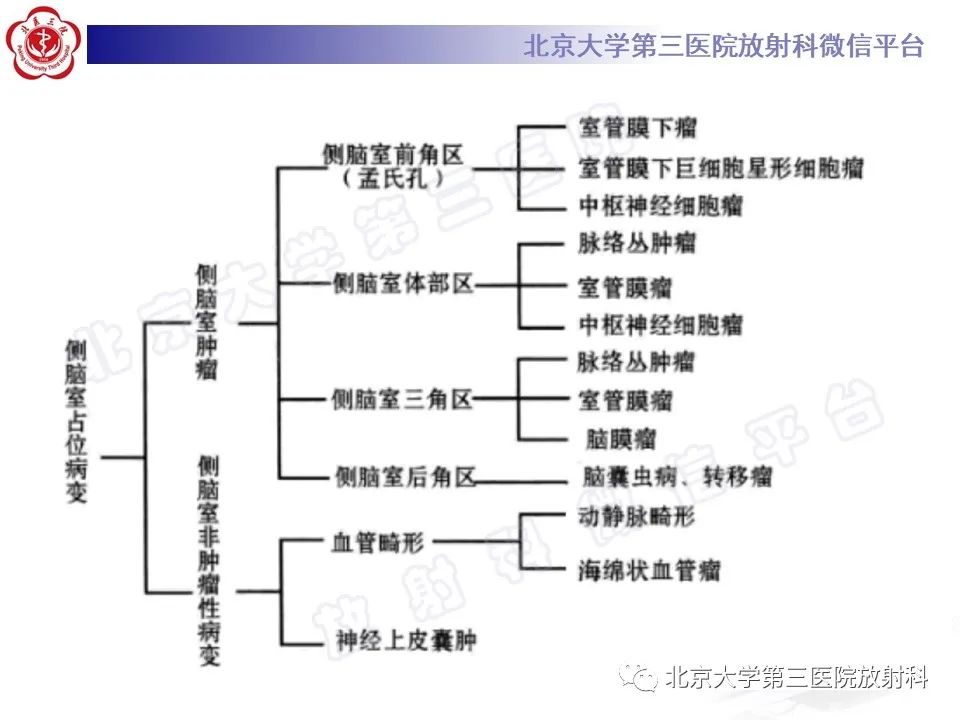 影像PPT - 【PPT】脑室内脑膜瘤-27