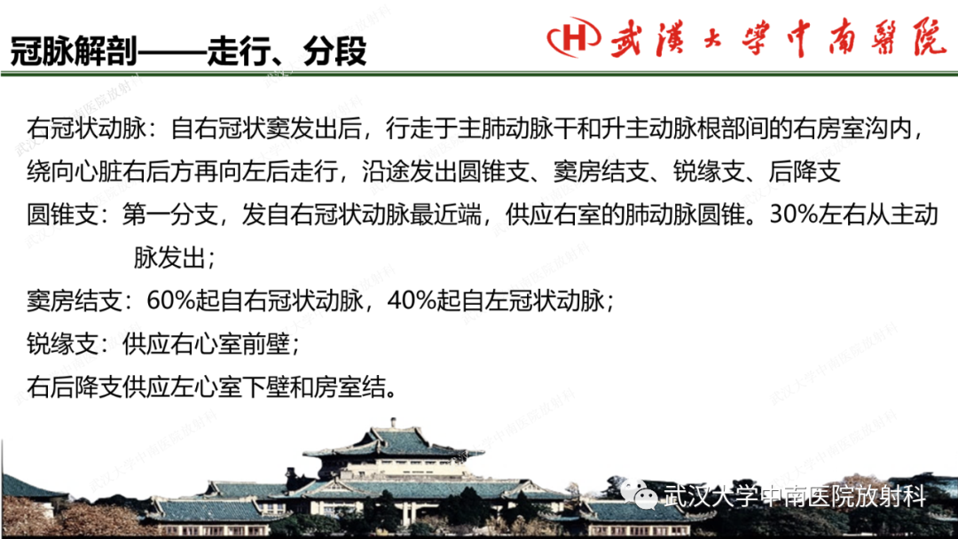 影像PPT - 【PPT】冠脉解剖与先天变异-5