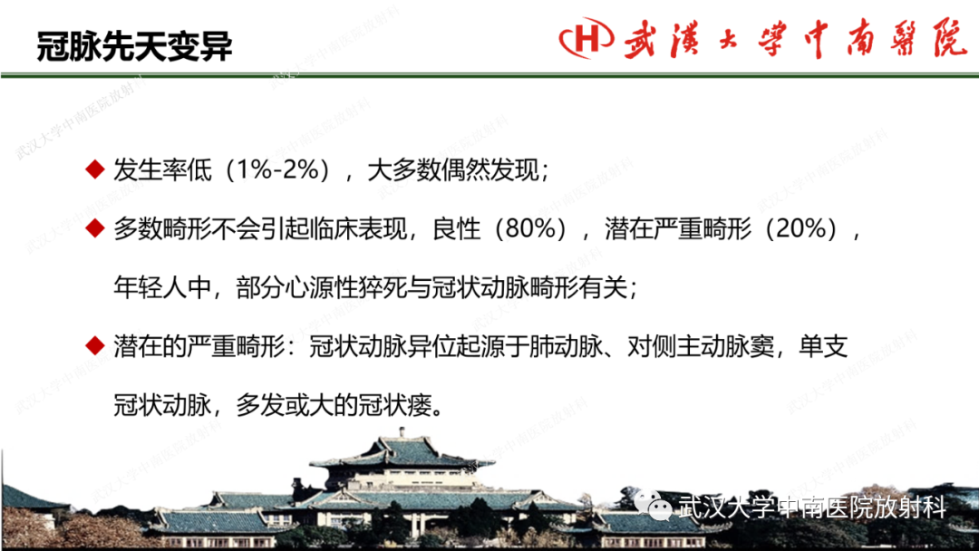 影像PPT - 【PPT】冠脉解剖与先天变异-15