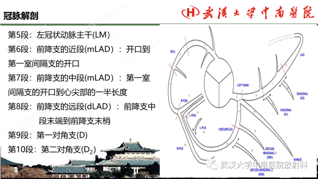 影像PPT - 【PPT】冠脉解剖与先天变异-12
