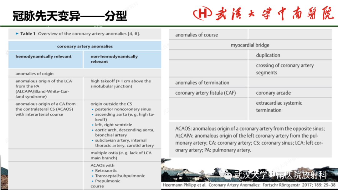 影像PPT - 【PPT】冠脉解剖与先天变异-16