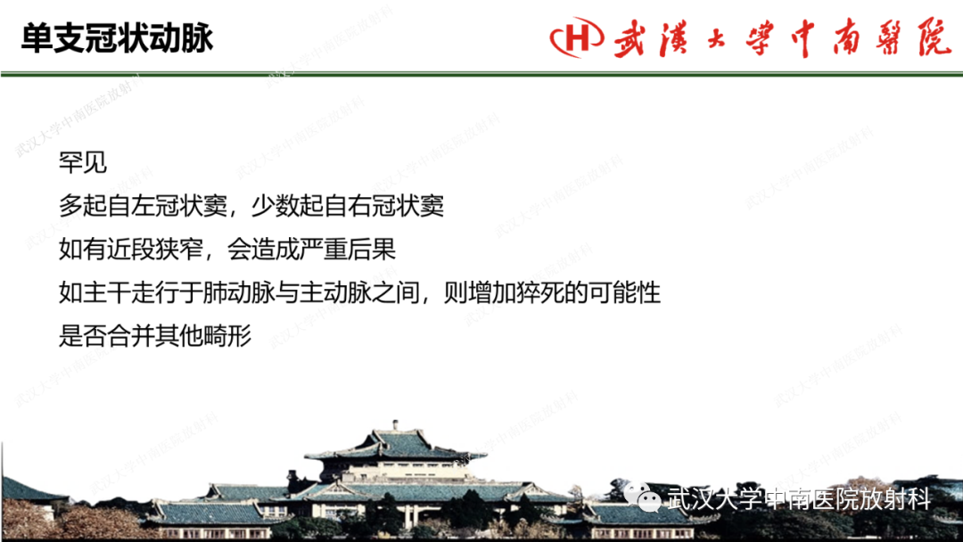 影像PPT - 【PPT】冠脉解剖与先天变异-21