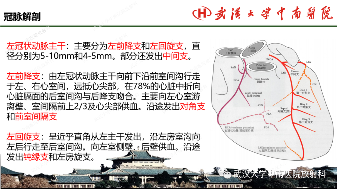 影像PPT - 【PPT】冠脉解剖与先天变异-8