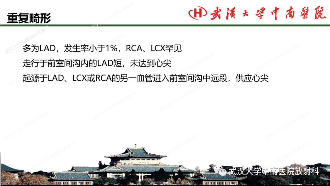 影像PPT - 【PPT】冠脉解剖与先天变异-40