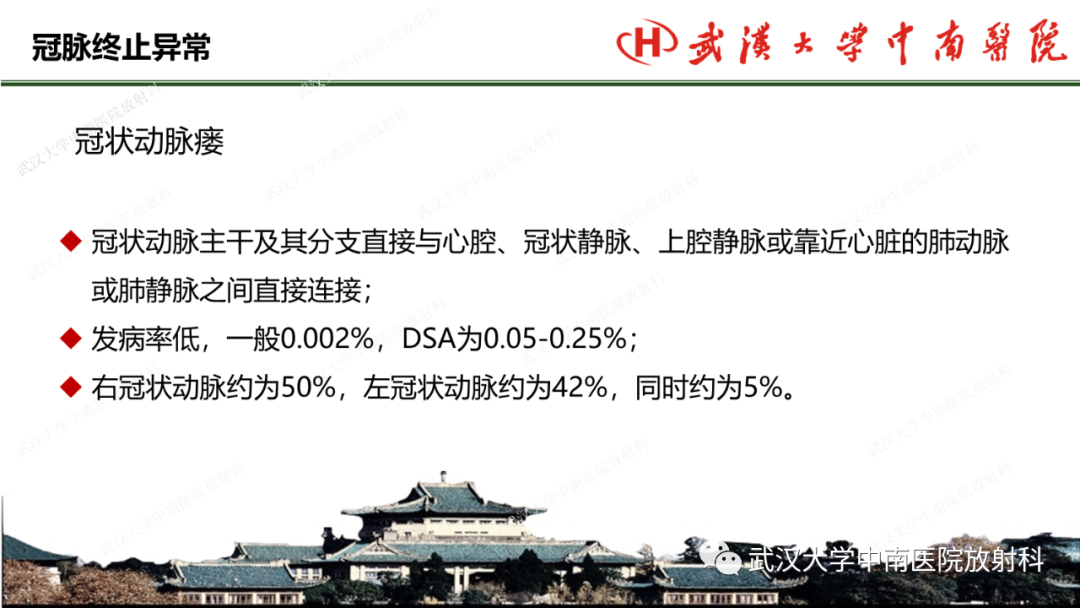 影像PPT - 【PPT】冠脉解剖与先天变异-43
