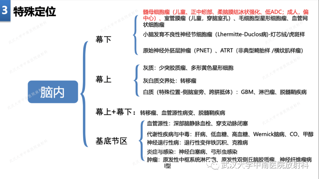 影像PPT - 【PPT】局灶性脑部病变影像学诊断-16