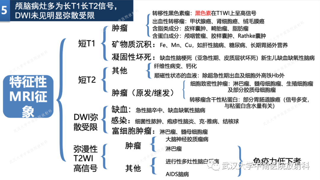 影像PPT - 【PPT】局灶性脑部病变影像学诊断-36