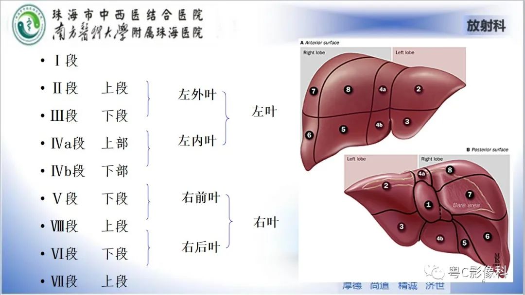影像PPT - 【PPT】肝脏影像分段及肝硬化结节MRI诊断-6