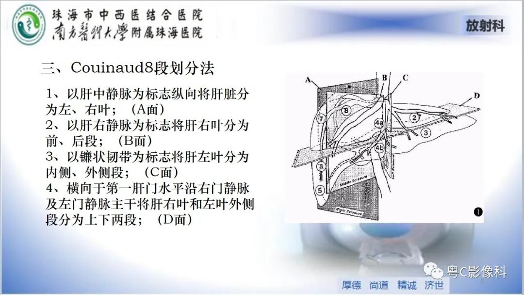 影像PPT - 【PPT】肝脏影像分段及肝硬化结节MRI诊断-5