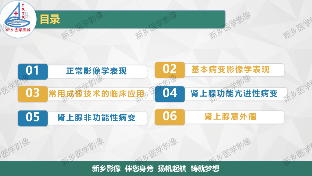 影像PPT - 【PPT】肾上腺解剖及常见疾病诊断要点-2
