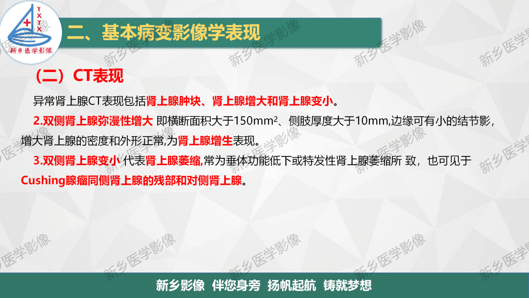影像PPT - 【PPT】肾上腺解剖及常见疾病诊断要点-9