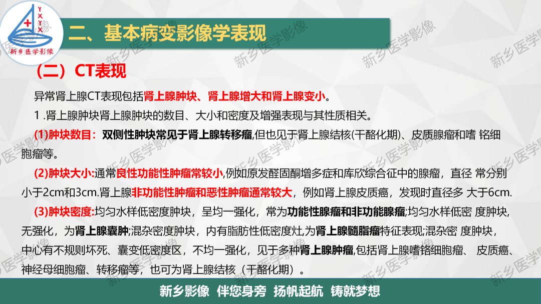影像PPT - 【PPT】肾上腺解剖及常见疾病诊断要点-8