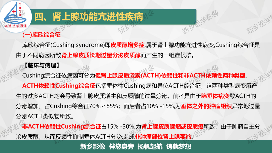 影像PPT - 【PPT】肾上腺解剖及常见疾病诊断要点-12