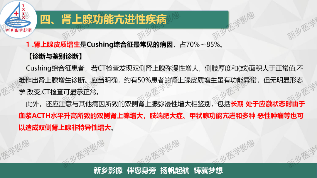 影像PPT - 【PPT】肾上腺解剖及常见疾病诊断要点-15