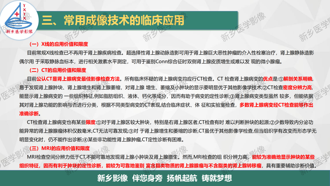 影像PPT - 【PPT】肾上腺解剖及常见疾病诊断要点-11