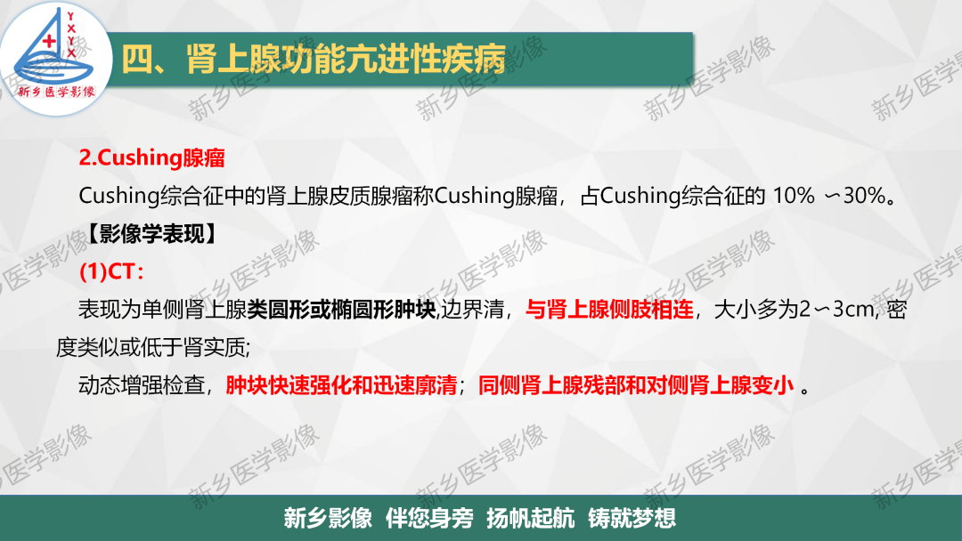 影像PPT - 【PPT】肾上腺解剖及常见疾病诊断要点-16