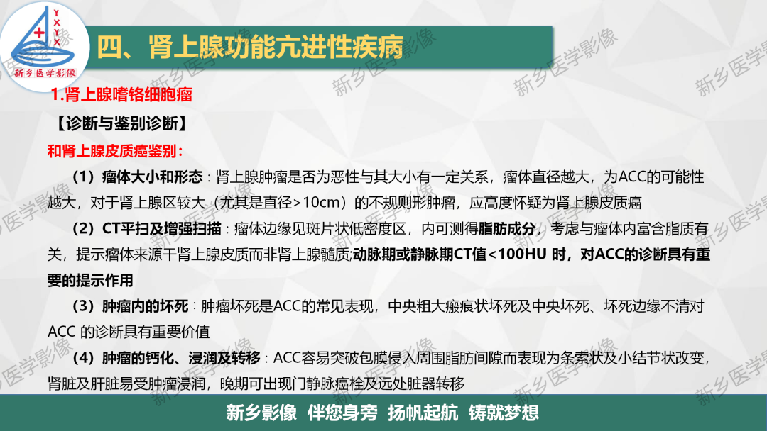 影像PPT - 【PPT】肾上腺解剖及常见疾病诊断要点-34