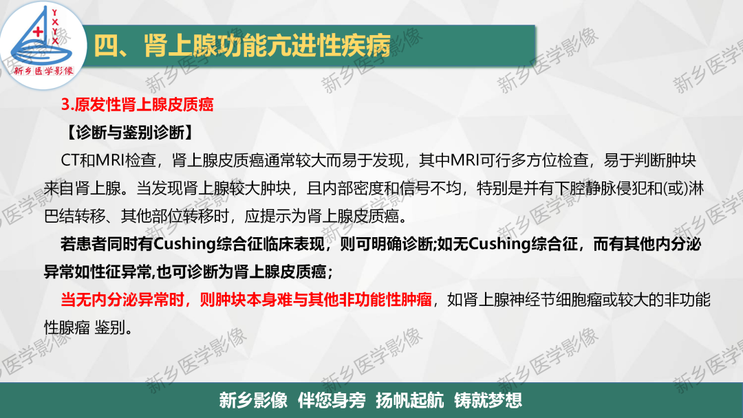 影像PPT - 【PPT】肾上腺解剖及常见疾病诊断要点-21